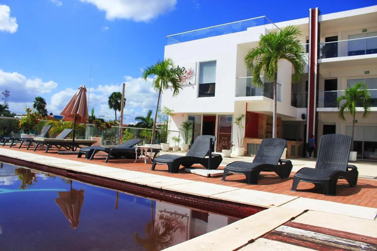 Cache Hostel&Hotel Playa del Carmen Hotel